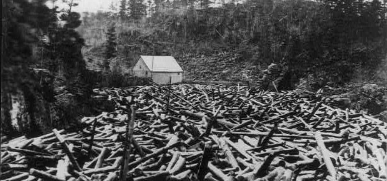 Wood Wars on the Susquehanna